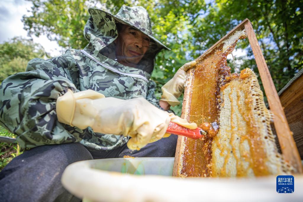 送彩金平台有哪些